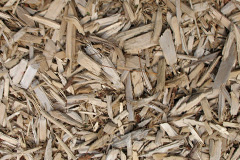 biomass boilers Lightwood Green